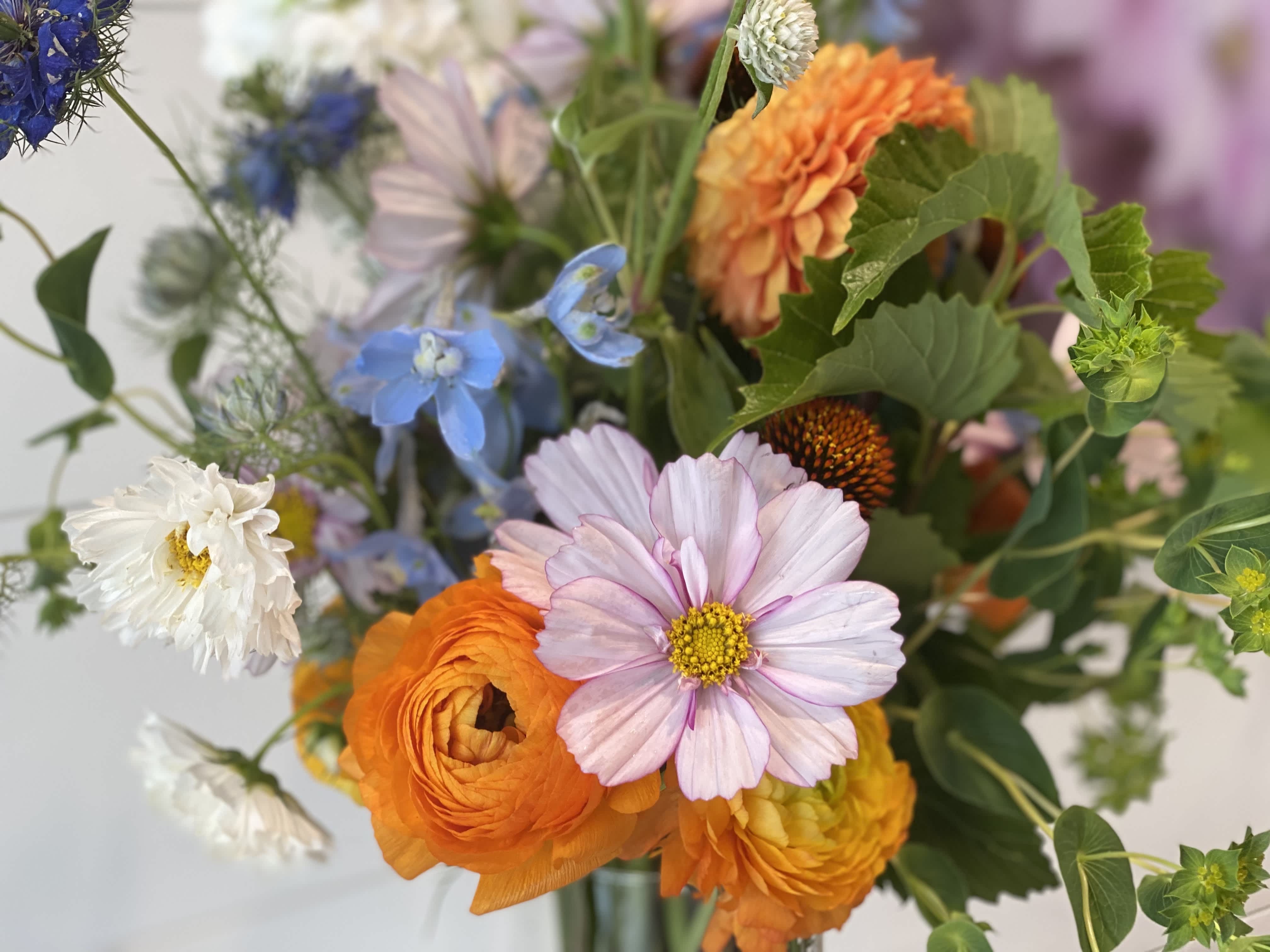 Mixed bouquet with orange, pink, blue, and white flowers