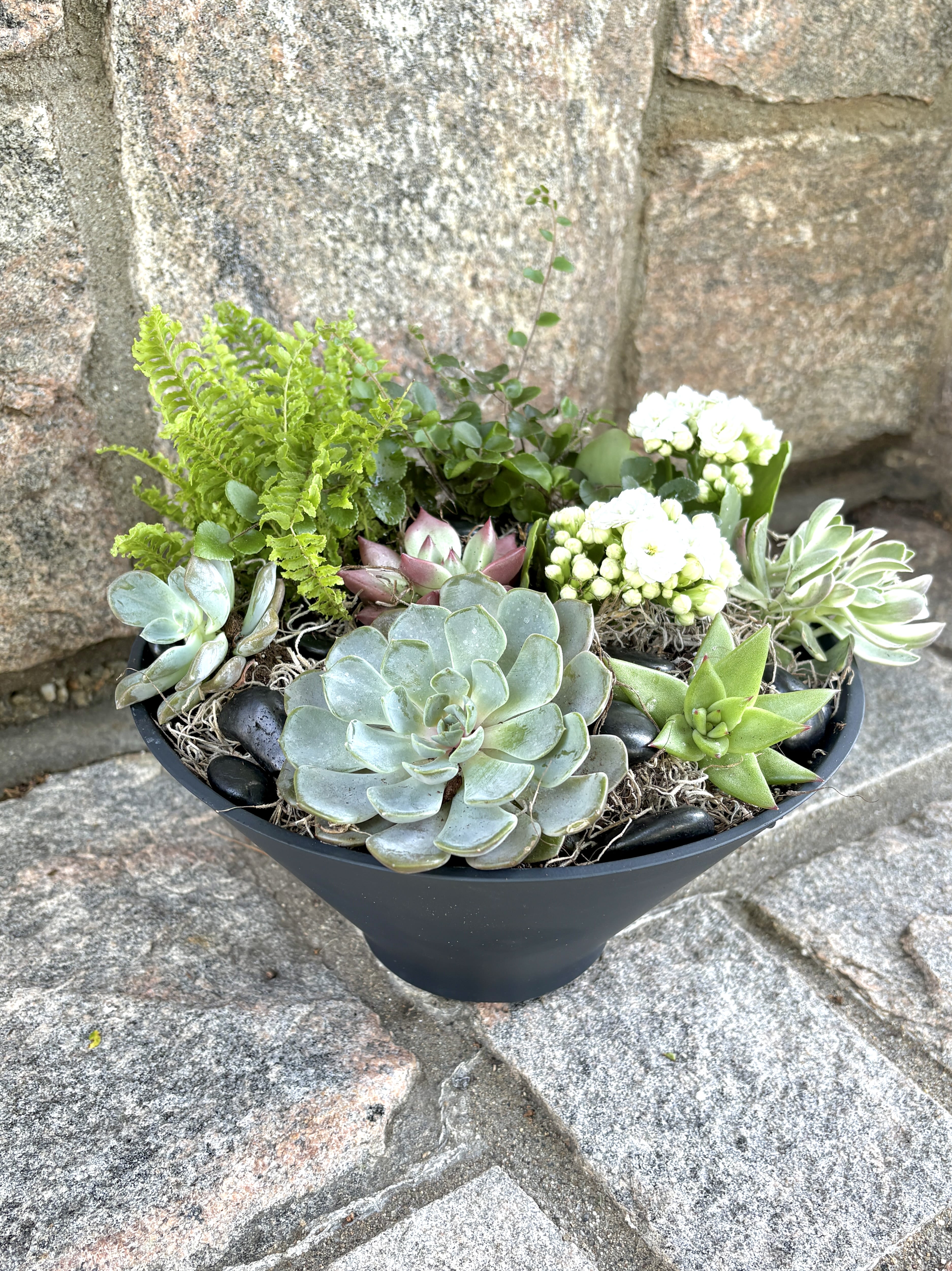 The Desert Bloom - Gorgeous succulents and other summer style plants pair so well in our sandstone planter.  This is a great gift for home or office and goes with any style decor.   Planter measures- : 5"H x 10"W x 4"L with plants exceeding vessel size.   We box up and wrap for gifting or getting! 