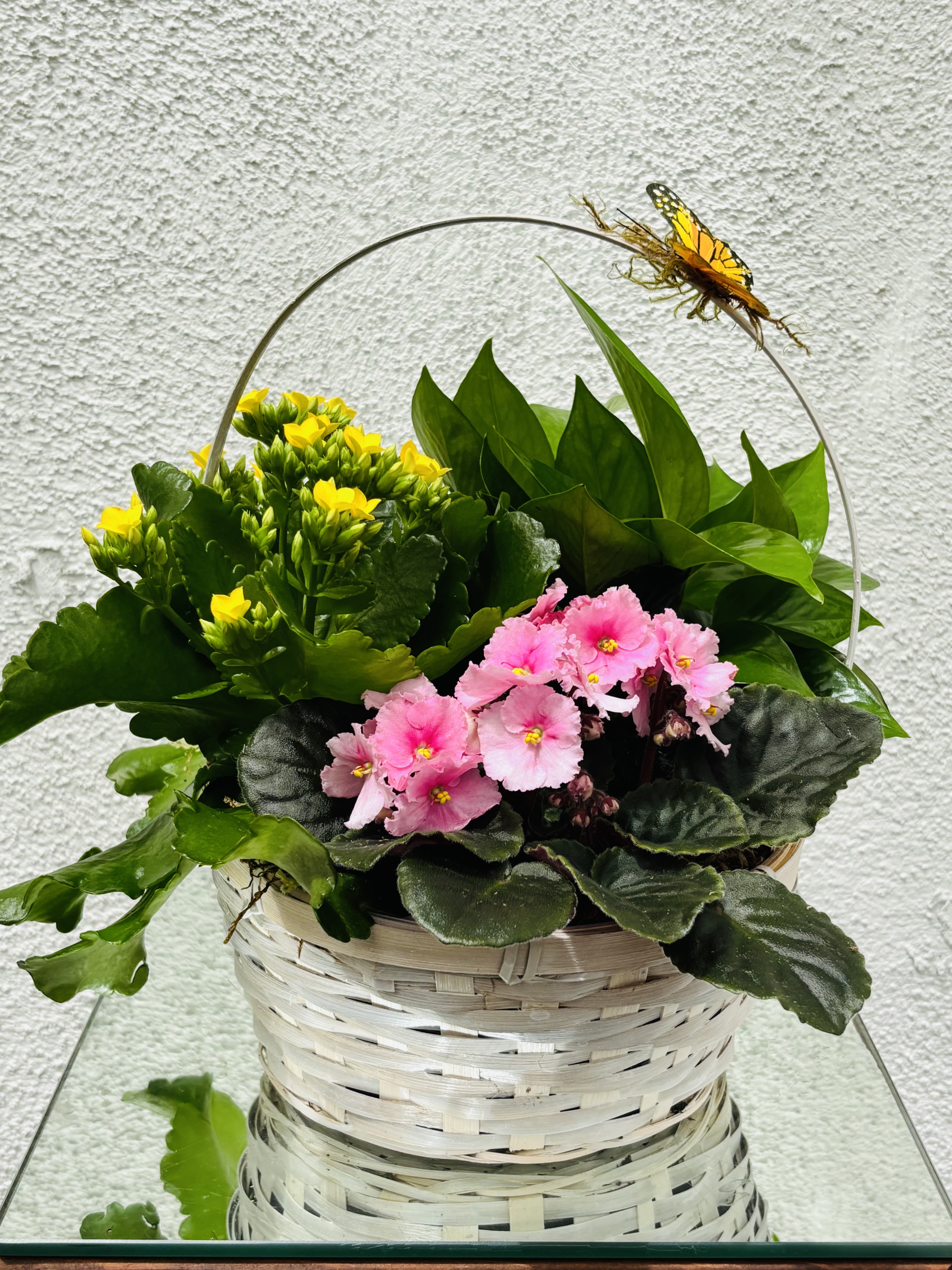 Pink and yellow potted flowers in a woven basket with a butterfly pick