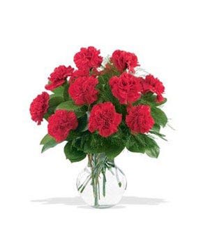 Bouquet of red carnations in a clear glass vase