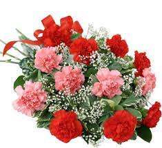 Bouquet of red and pink carnations with baby's breath