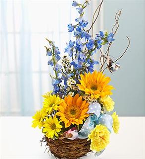 Welcome to the Nest - Baby Boy - Capture their inner nesting instinct with a gift that's sure to hatch smiles for the new parents. A beautiful baby-blue and yellow-themed arrangement of delphinium, sunflowers, carnations and daisy poms is hand-designed in a charming bird's nest basket. Accented with a beautiful blue polka dot ribbon and a pair of playful bird picks. Floral and basket may vary due to local availability. Arrangement measures approx. 16"H x 6"W.