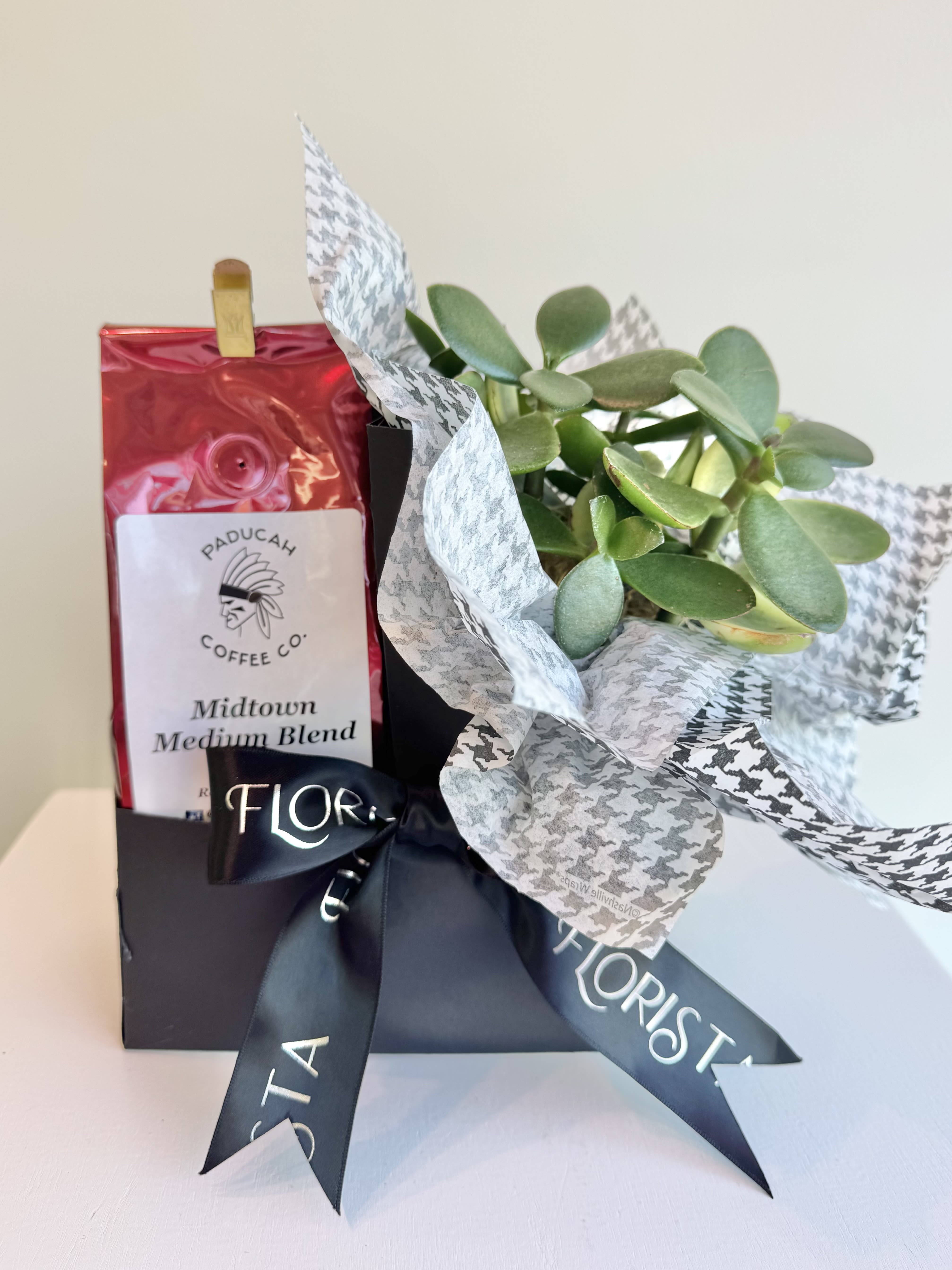 Potted succulent gift set with a coffee bag and ribbon