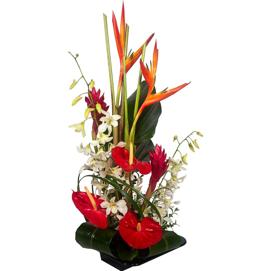 Tall tropical arrangement with orange birds of paradise, red blooms, and white orchids in a low black container