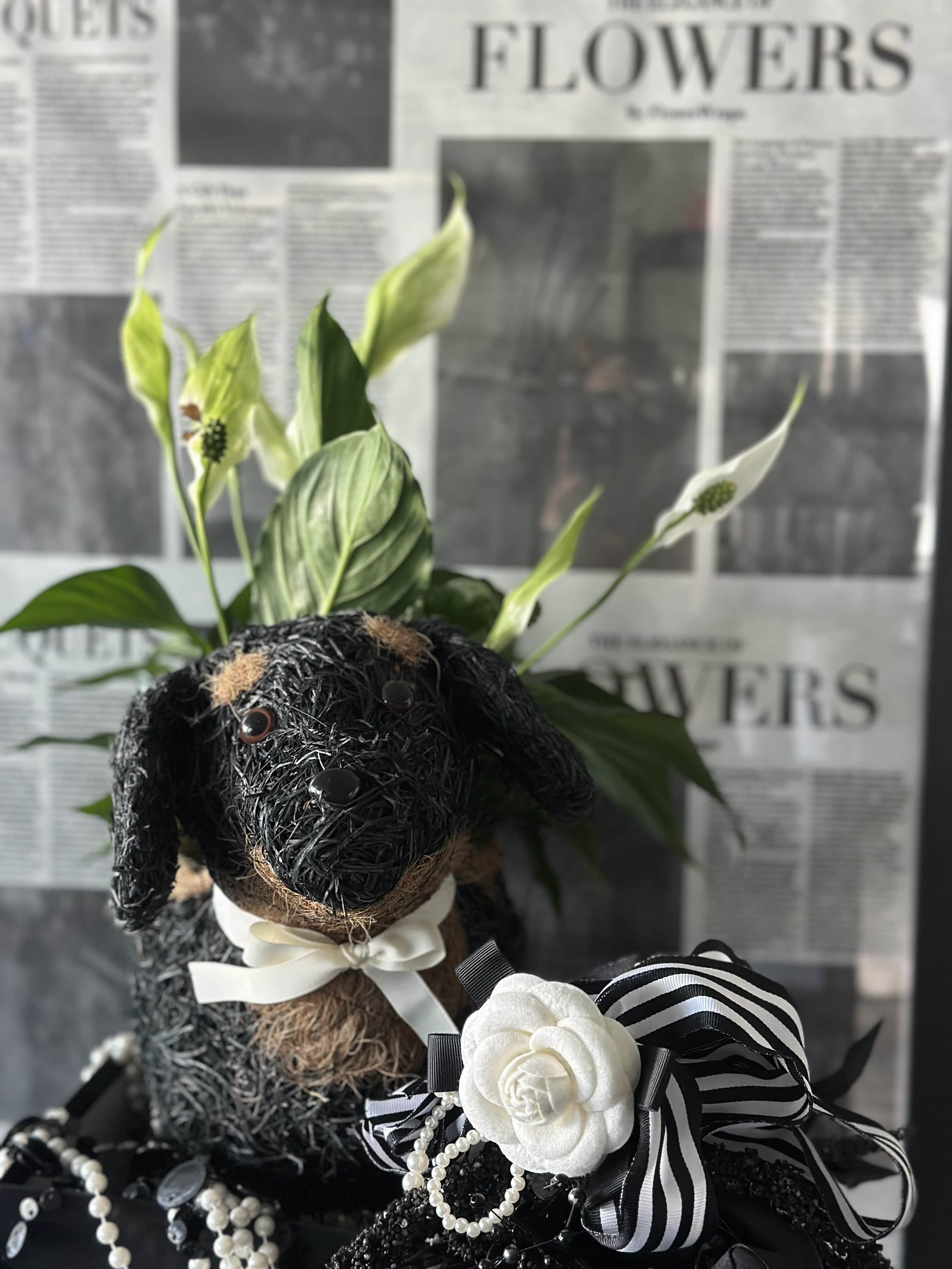 Black dog-shaped floral arrangement with white blooms and striped ribbon