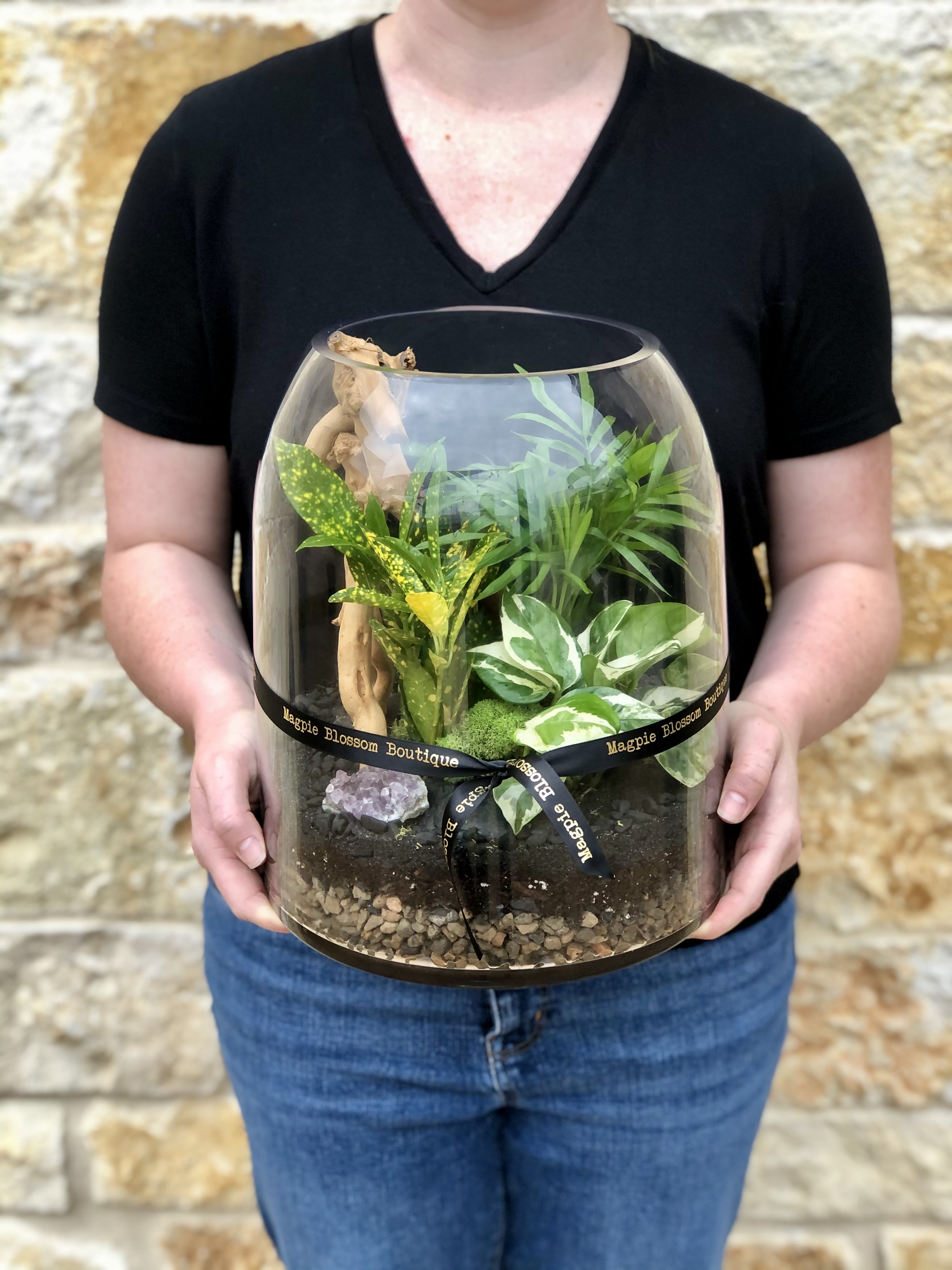 Jungle Terrarium  - Escape to the tropics without leaving your living room. Our handcrafted tropical terrariums bring the lush, vibrant energy of the rainforest into a sophisticated glass vessel. Each miniature ecosystem is a living work of art, featuring a curated selection of exotic plants that thrive in their own self-sustaining habitat. Designed for the modern plant lover, these terrariums are as easy to care for as they are beautiful. Whether perched on a desk, a bookshelf, or a side table, our tropical terrariums offer a serene window into nature that stays green all year round.  Vessel Measurements- 12" H x 10" W