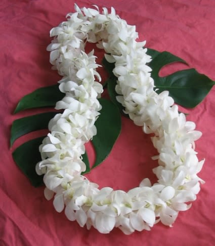 White flower lei on a pink background with green leaves