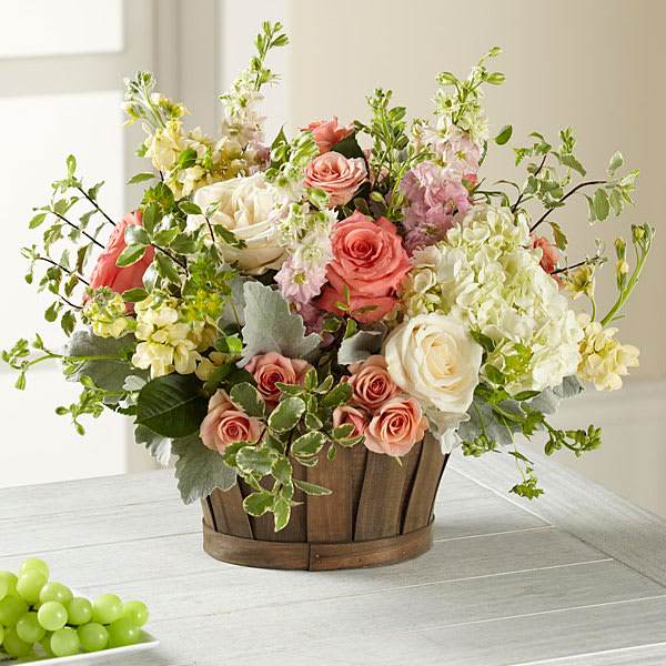 Pink and white roses arranged in a wooden basket with greenery