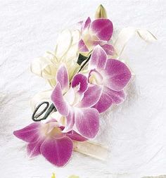 Purple and white orchid corsage with a ribbon tie