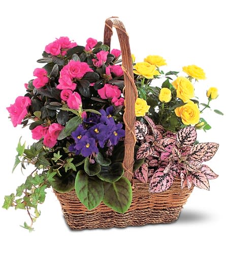 Basket of pink and yellow flowering plants with purple blooms