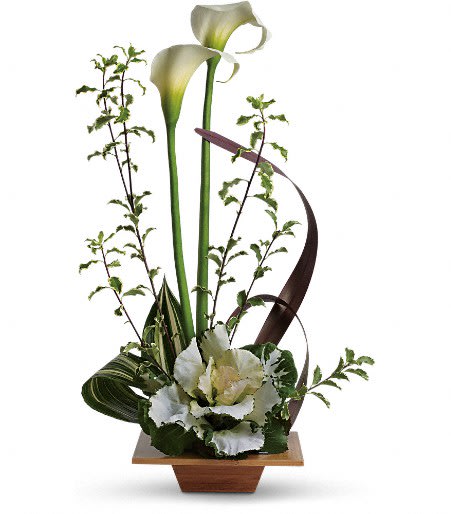 White calla lilies in a wooden container with curved ribbon accents