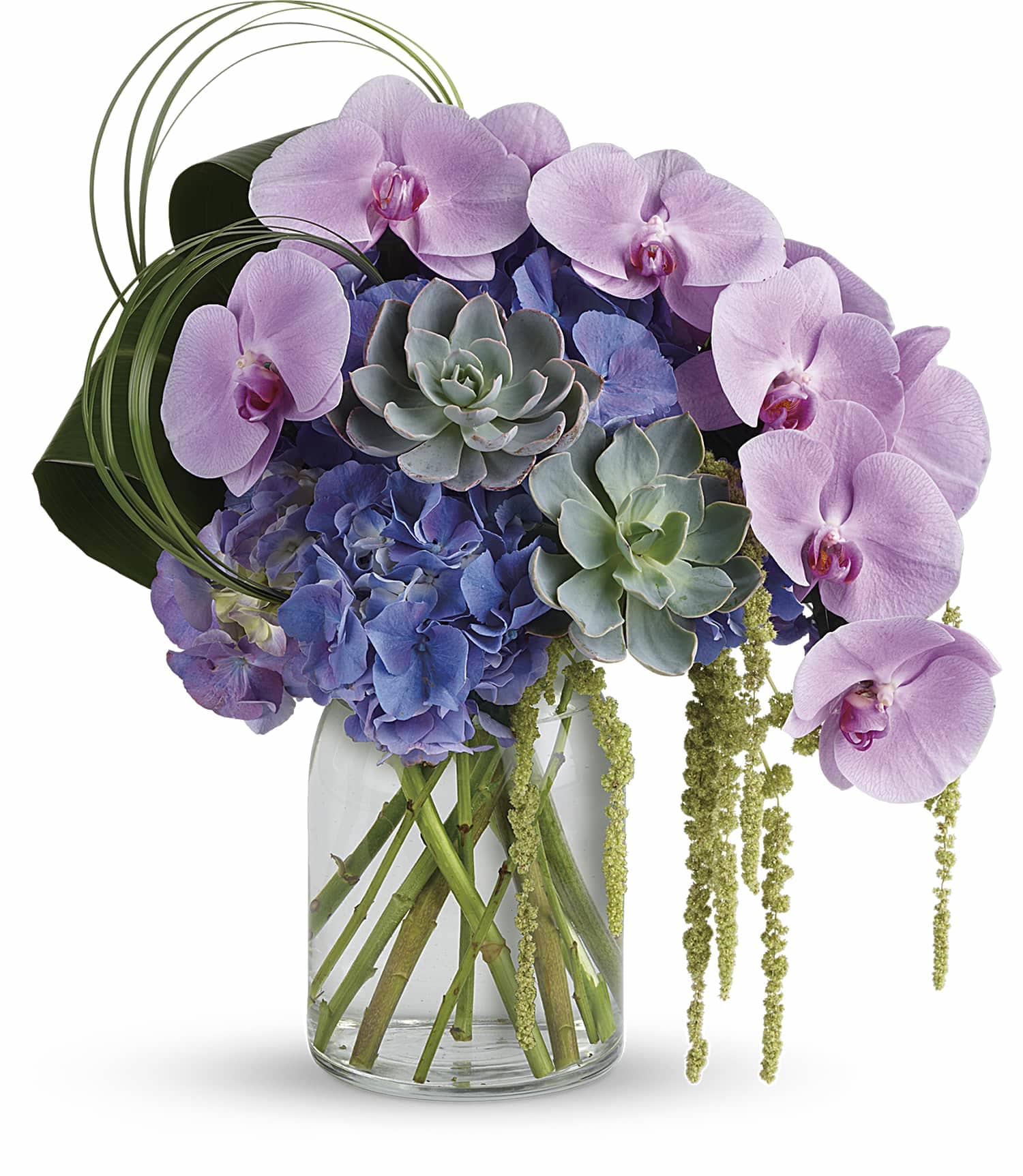Lavender orchids and blue hydrangeas in a glass vase with succulents