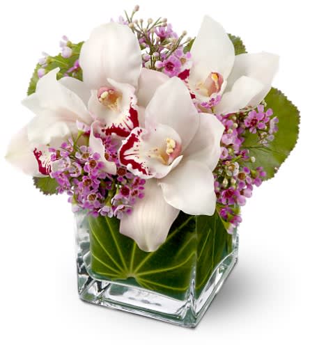 White orchids and purple filler flowers in a square glass vase