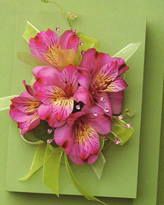 Pink alstroemeria bouquet with green ribbon on a green card