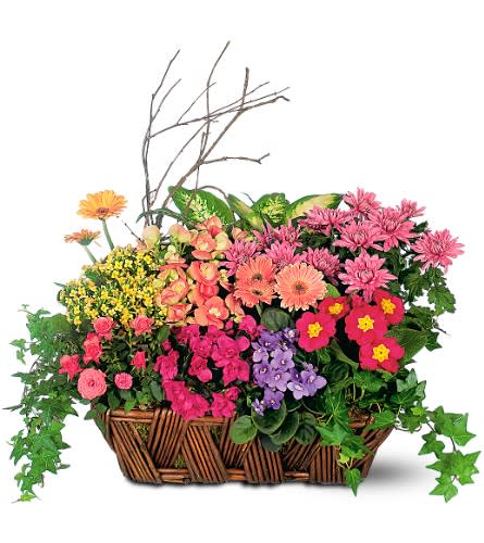 Mixed flower basket with pink, orange, yellow, and purple blooms
