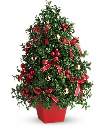 Potted evergreen topiary decorated with red ribbons and ornaments