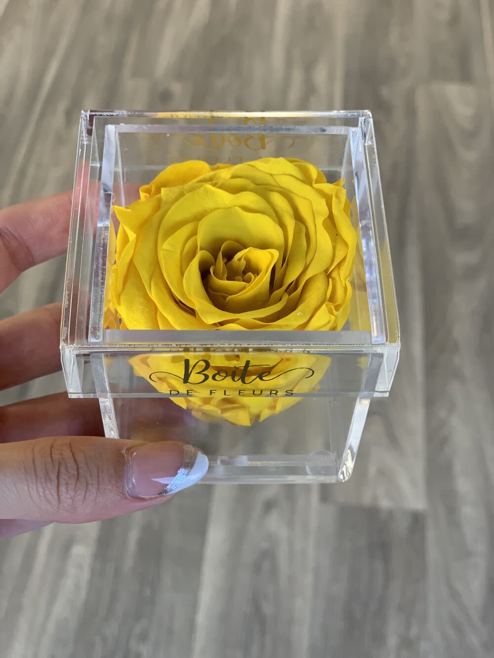 Yellow rose in a clear acrylic box