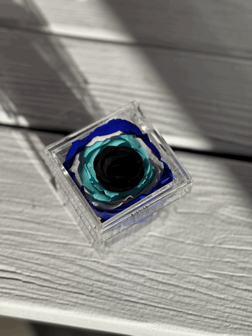 Single preserved rose in a clear square box