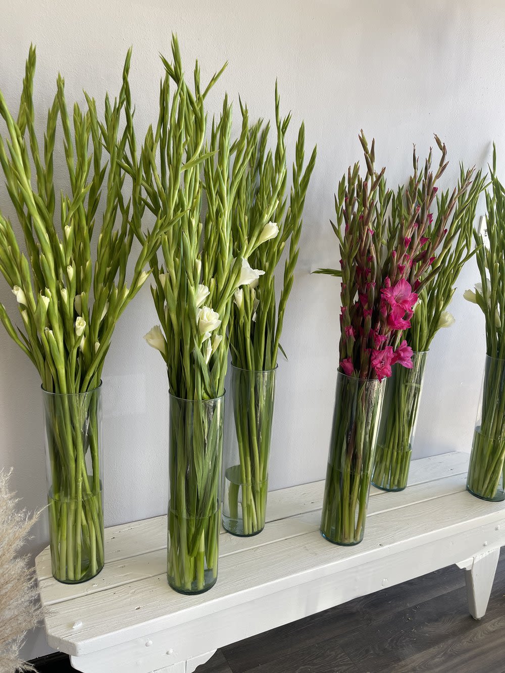 Tall gladiolus stems in clear glass vases, some with white and pink blooms