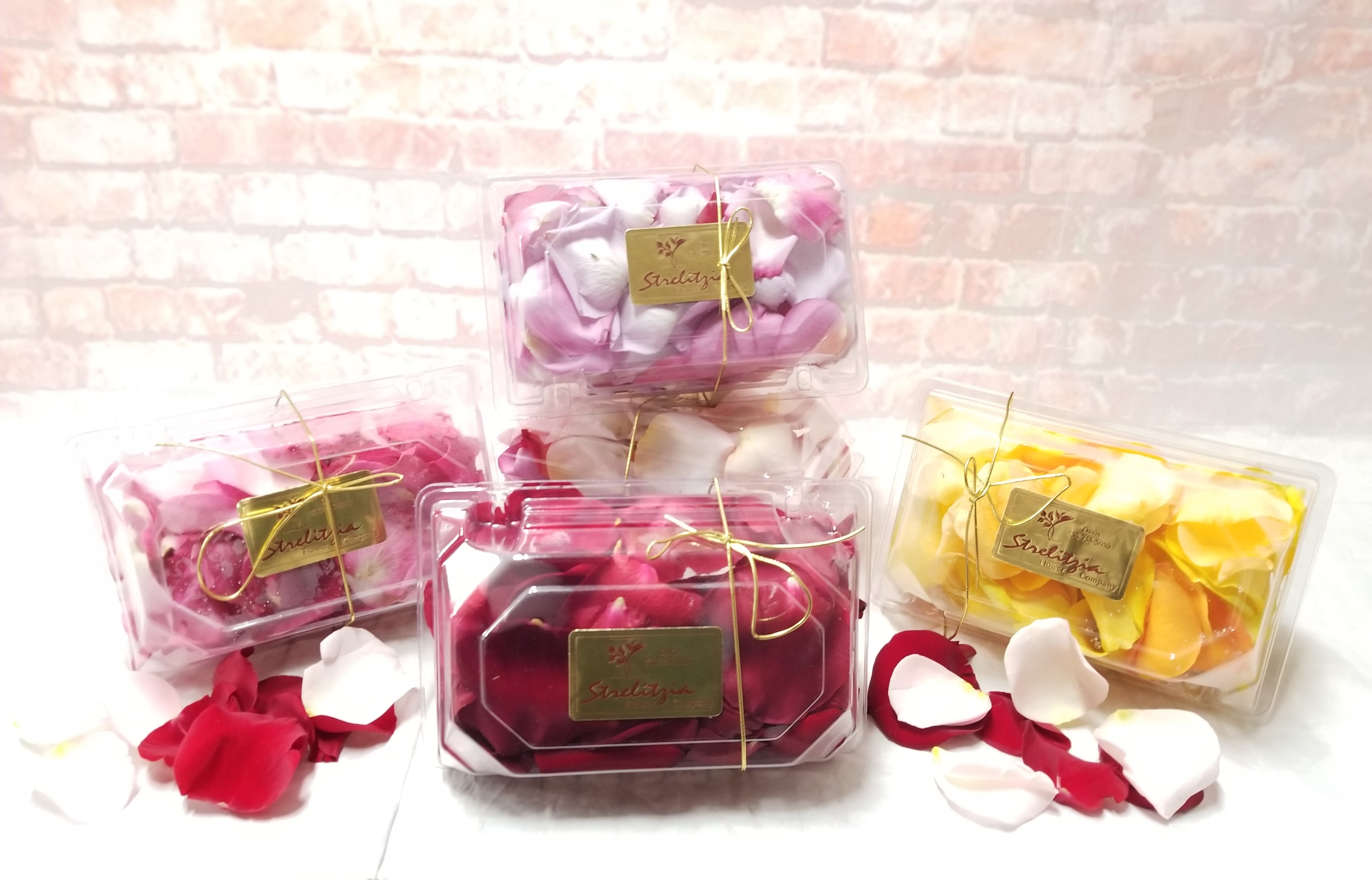Plastic boxes filled with rose petals in pink, white, red, and yellow