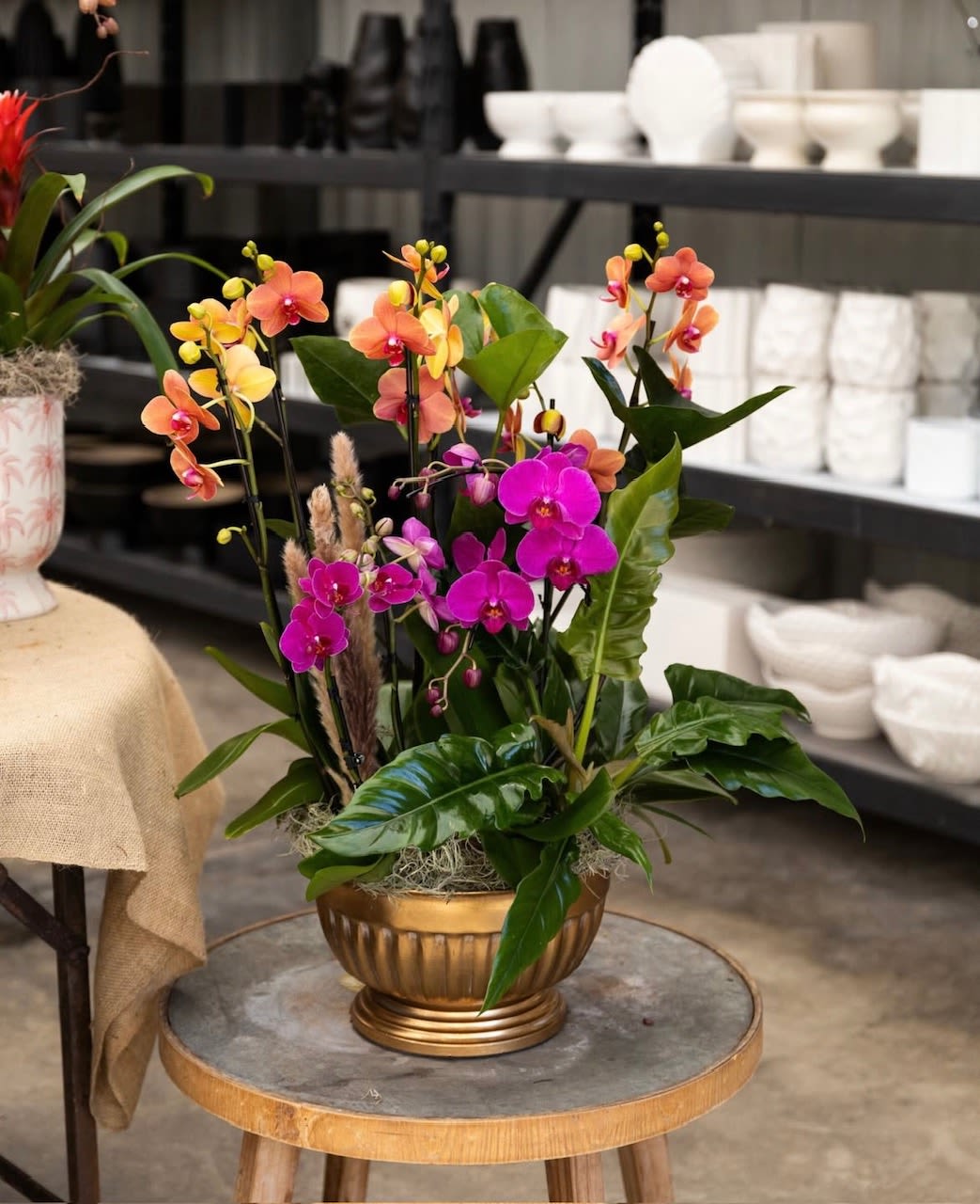 Spring Orchid  - Bright sprays of magenta, coral and sunny yellow Phalaenopsis orchids create an uplifting centerpiece perfect for a spring bouquet or celebratory gift. The Spring Orchid arrangement works beautifully as an everyday decorative piece or to mark occasions like birthdays, a cheerful anniversary, or to say "thinking of you"-the recipient will feel noticed and celebrated by its warm, lively color story.  Multiple orchid stems rise with graceful movement from a low gold pedestal bowl, their broad glossy foliage and a touch of decorative moss at the base lending a lush, tropical look. The combination of vivid pink, orange and yellow tones against the polished gold vessel gives this arrangement an elegant, modern presence that fits tabletops, mantels, or office reception areas.  Designed for indoor display, this arrangement balances height and low profile for easy placement and long visual impact. Phalaenopsis orchids prefer bright, indirect light and moderate watering-keep the moss lightly moist and avoid direct sun to prolong blooms-so the person you send it to can enjoy its beauty for weeks.