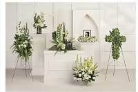 Several white and green floral arrangements on stands and pedestals in a bright room.