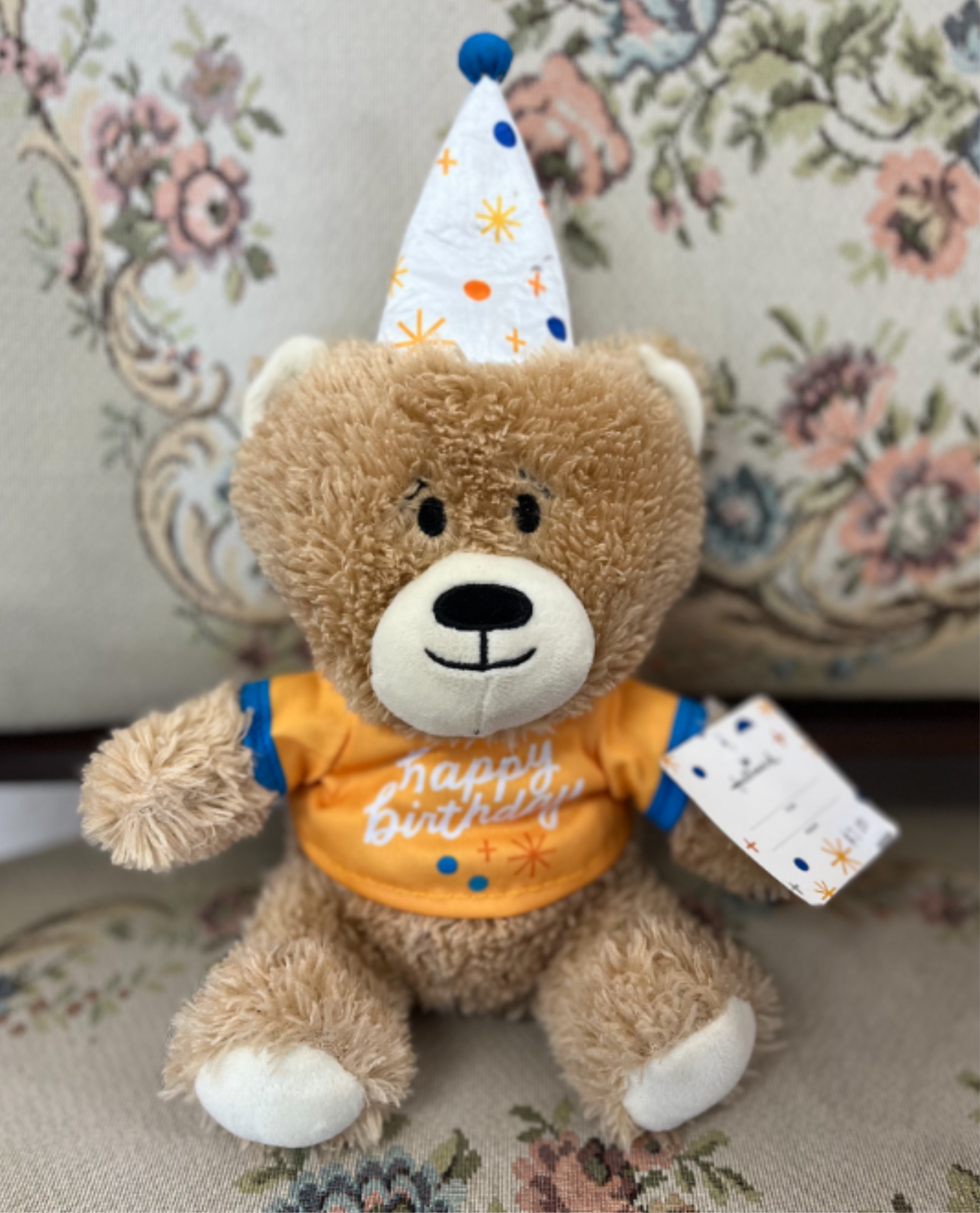 Birthday Teddy Plush - Tan plush teddy wearing a party hat and orange "happy birthday" shirt with hang tag-cheerful gift add-on