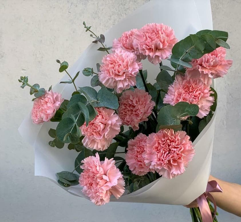 Bouquet of pink carnations with eucalyptus in white wrap