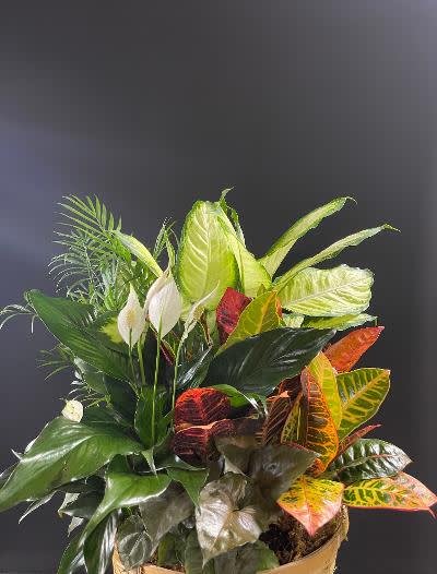 Tropical foliage arrangement with white peace lilies in a basket