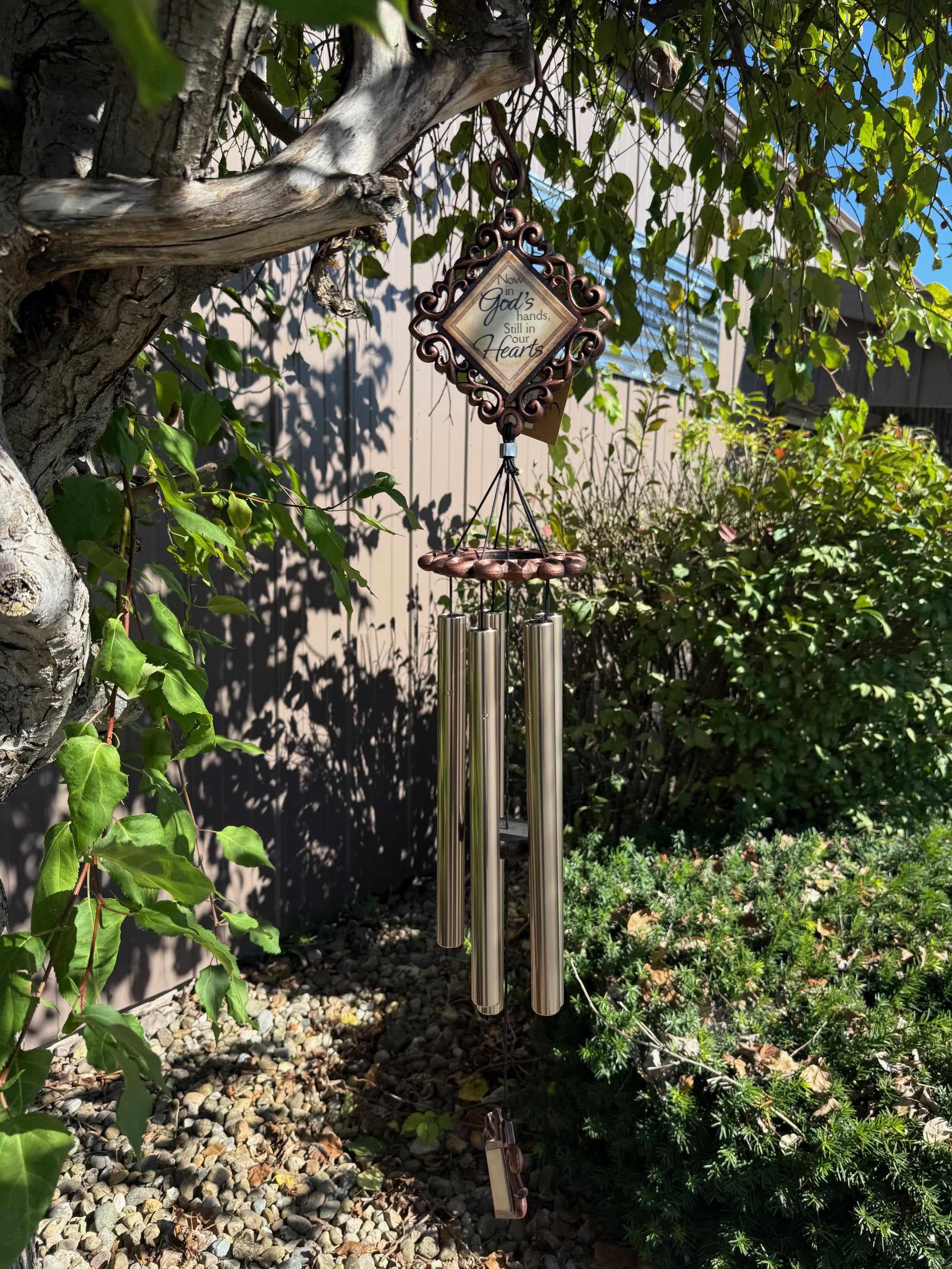 Decorative wind chime hanging from a tree branch outdoors