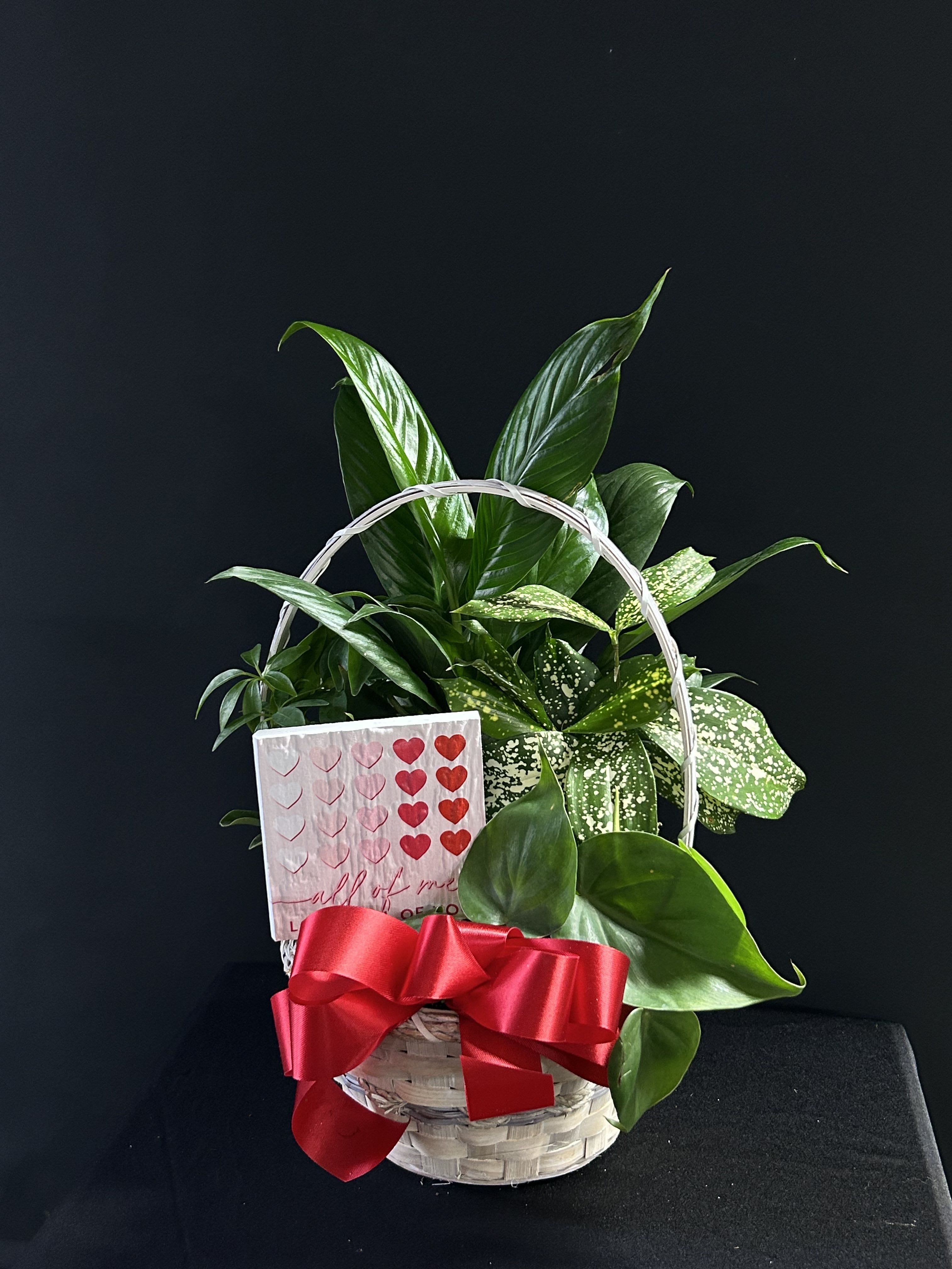 Basket of green houseplants with a red ribbon and heart card