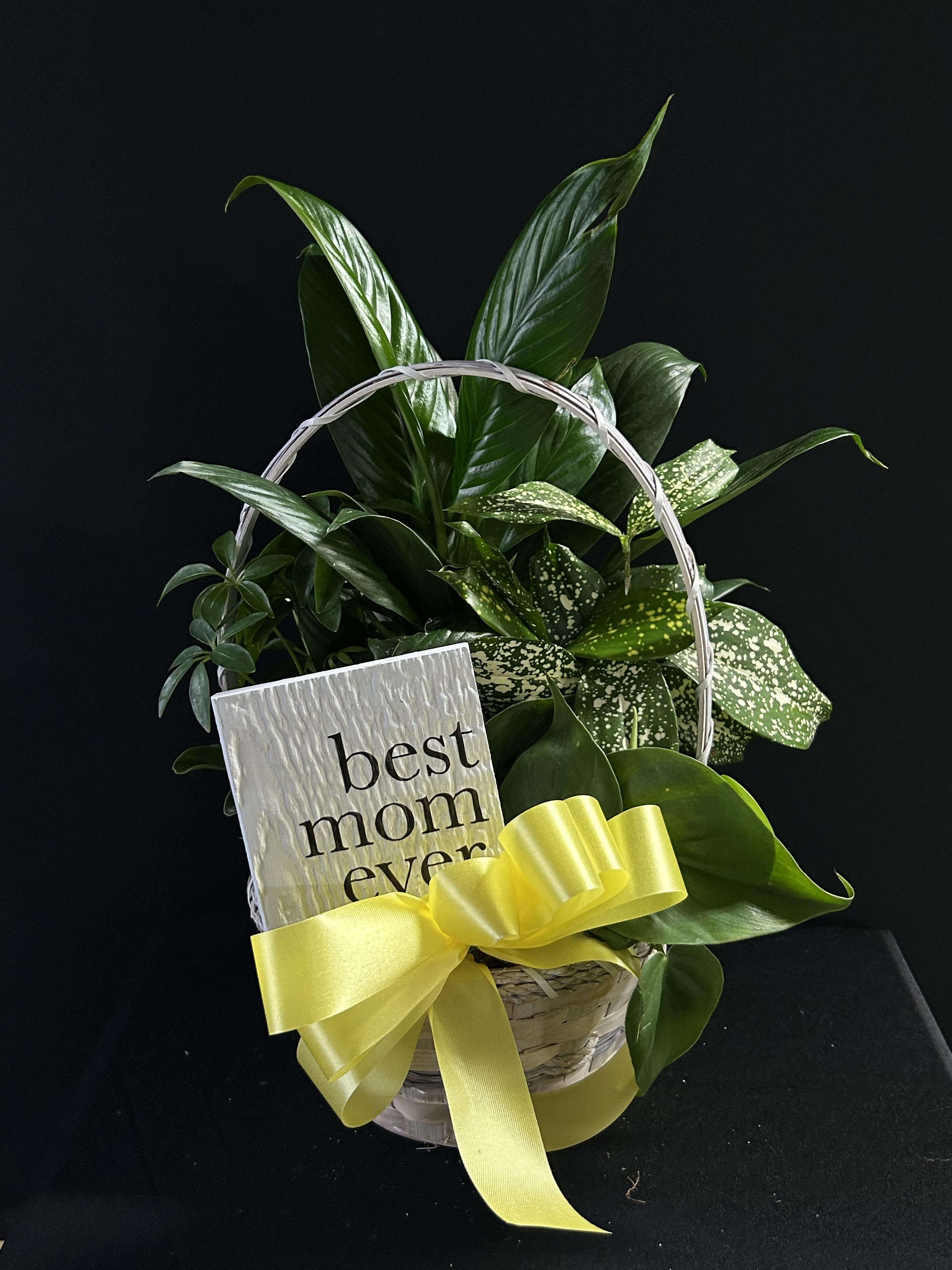 Basket of green houseplants with a yellow ribbon and "best mom ever" sign