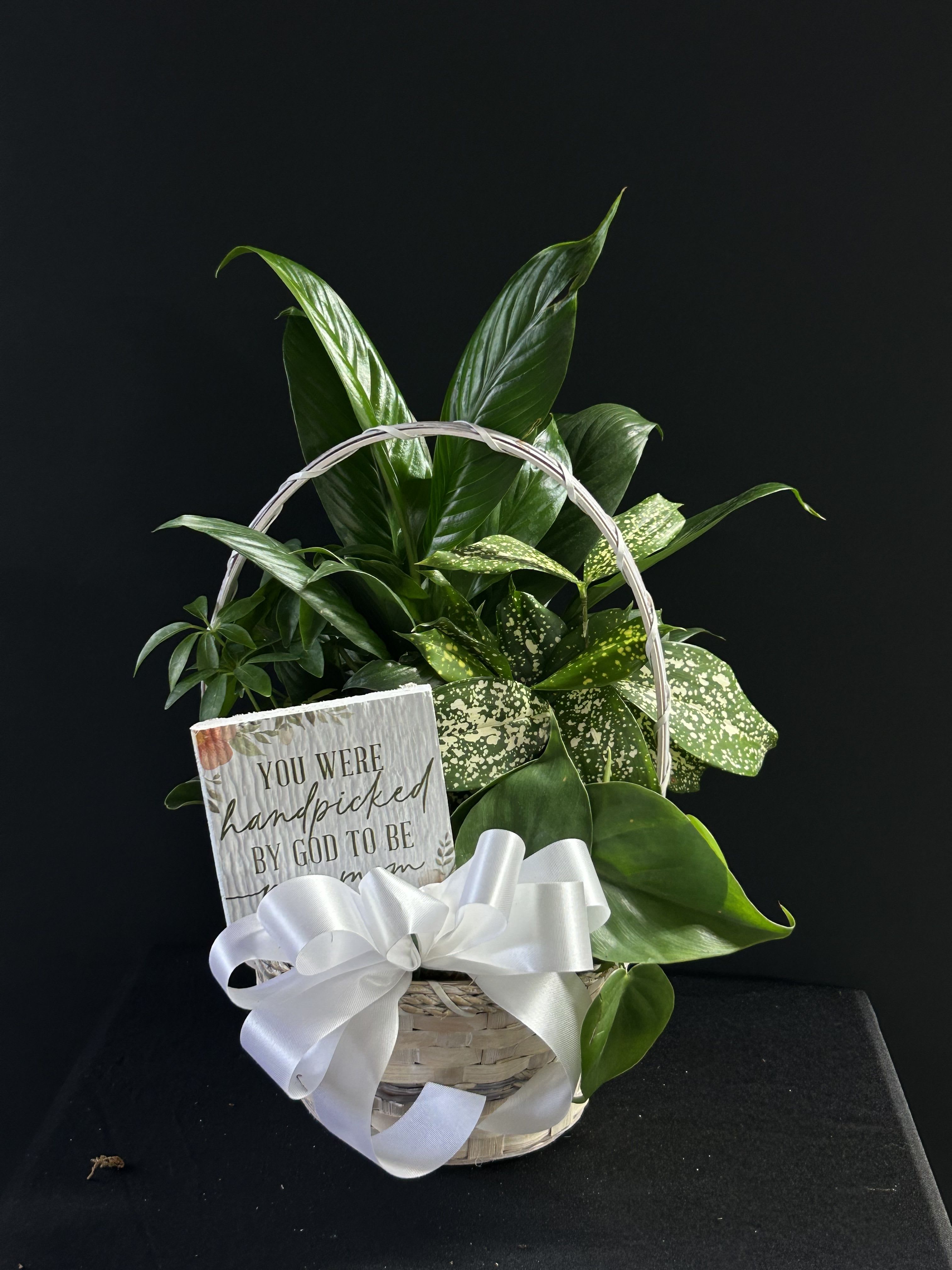 Basket of green houseplants with a white ribbon and sign