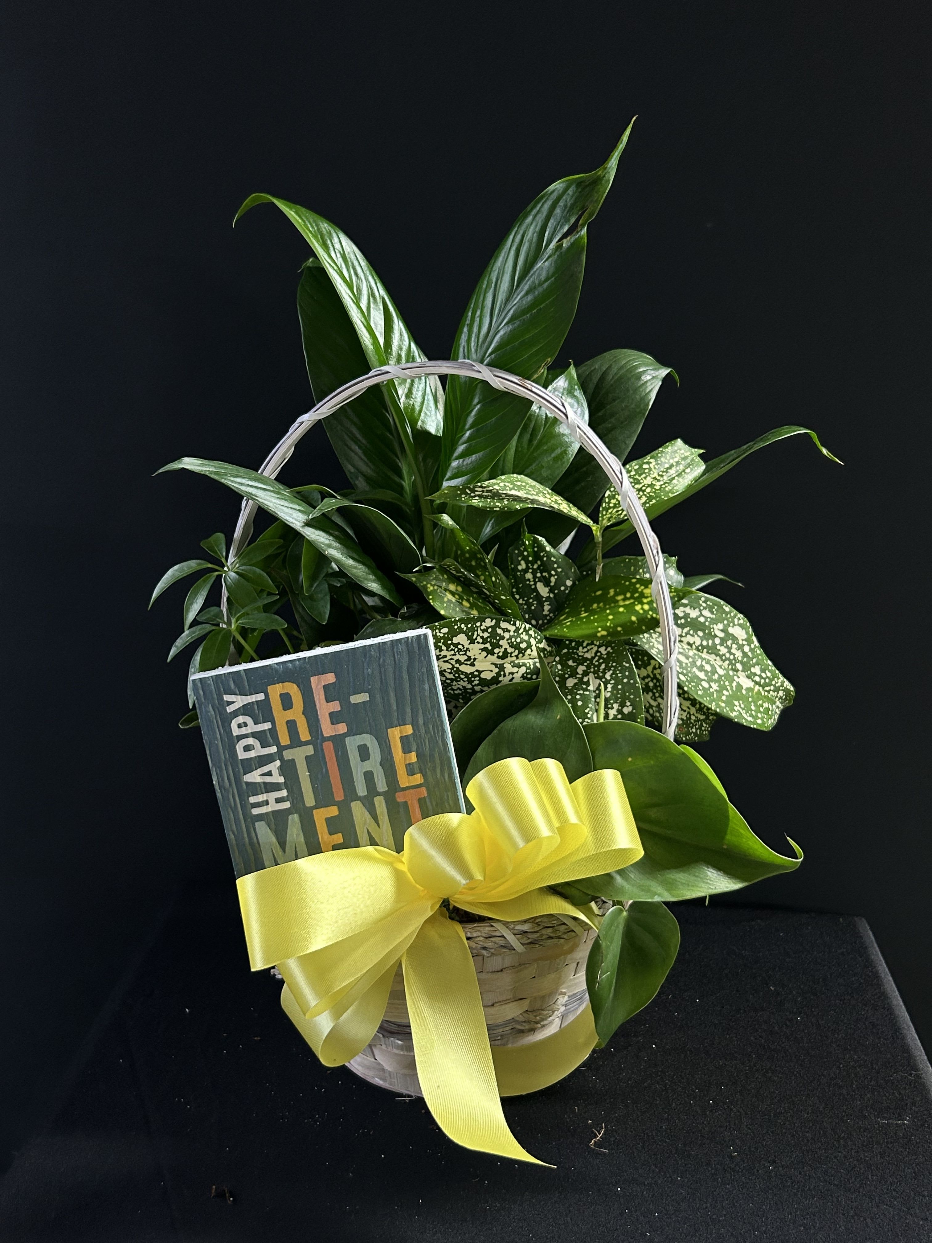 Basket of green houseplants with a yellow ribbon and retirement sign
