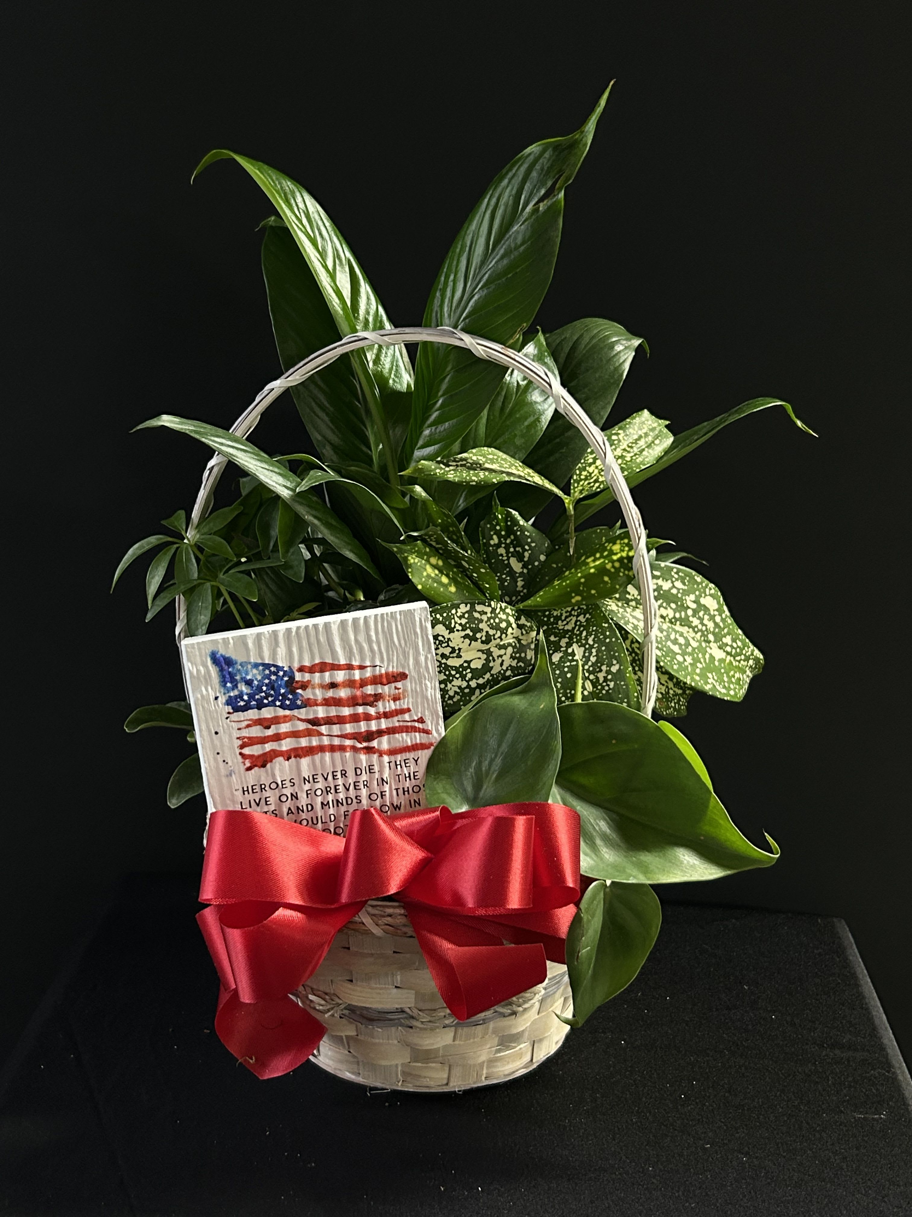 Basket of green houseplants with a red ribbon and memorial card