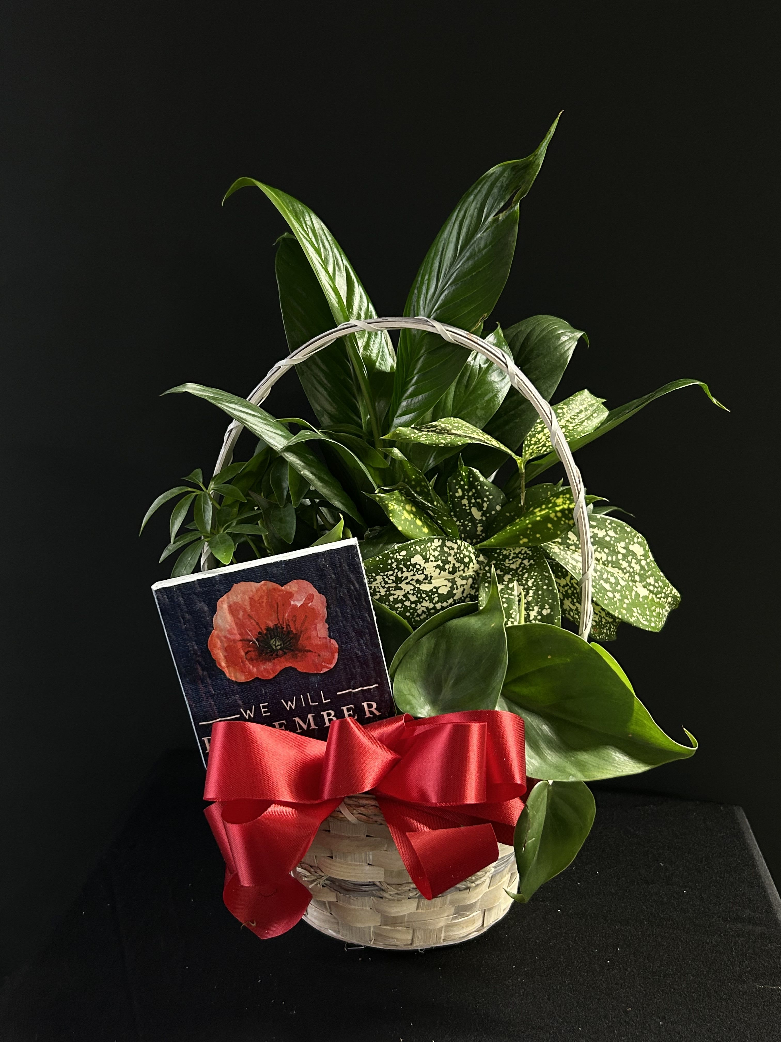 Basket of green houseplants with a red ribbon and memorial card
