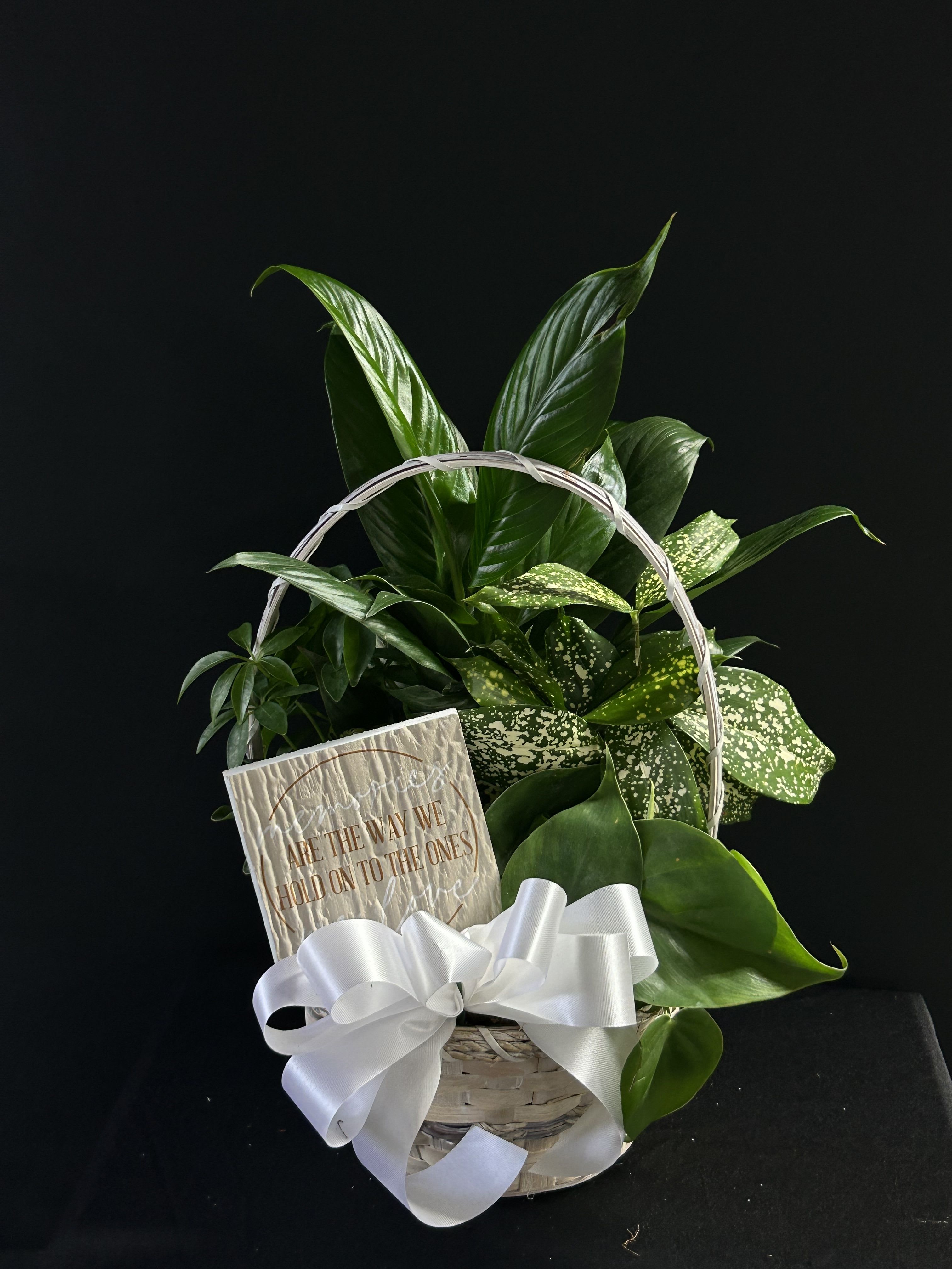 Basket of green houseplants with a white ribbon and card