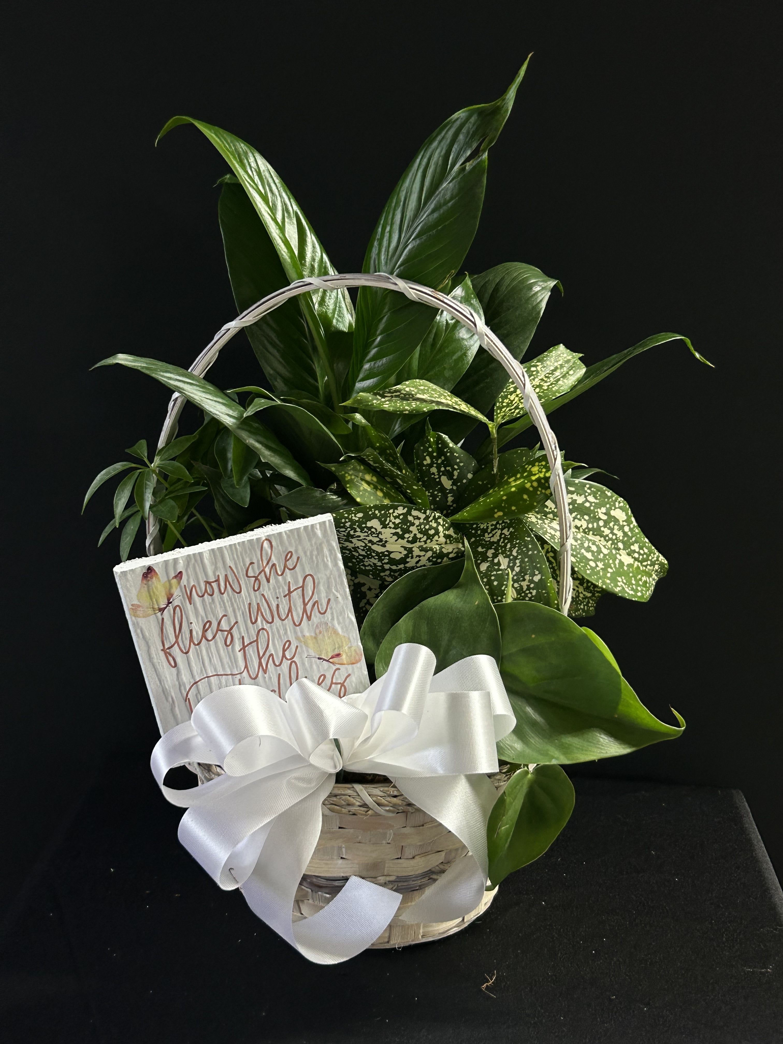 Basket of green houseplants with a white ribbon and a small sign