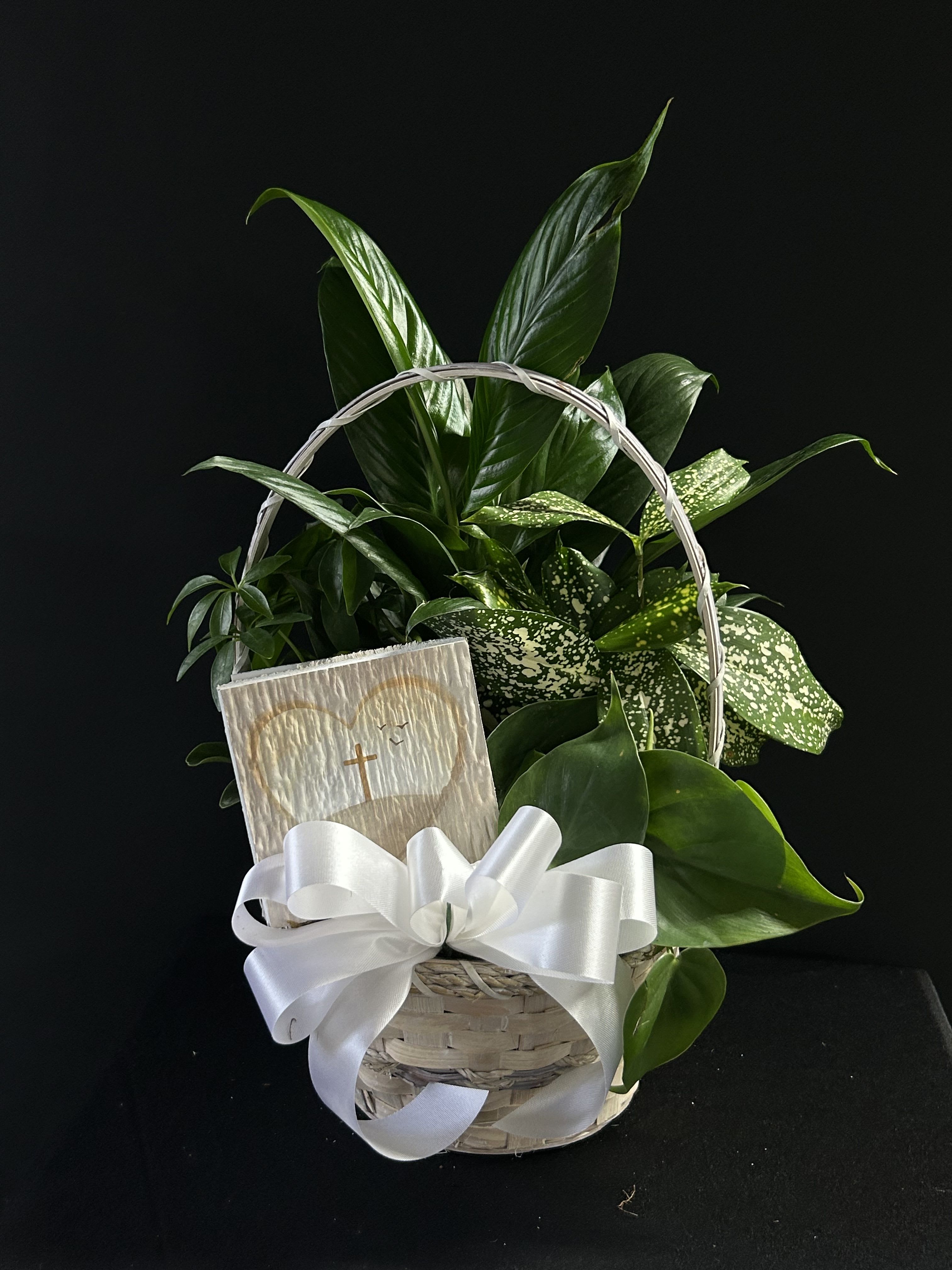 Basket of green houseplants with a white ribbon and sympathy card