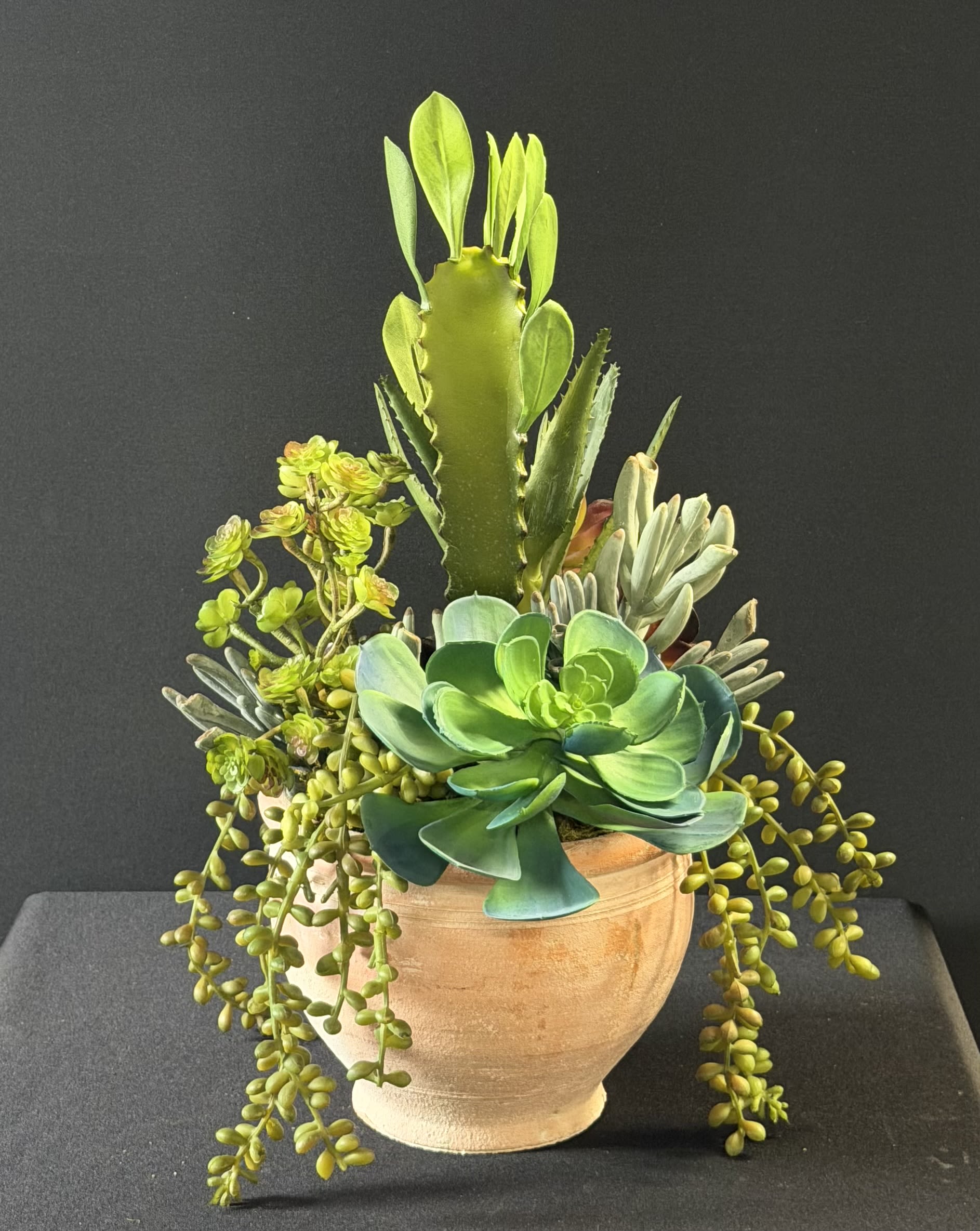 Faux Succulent Terracotta Pot  - A sculptural tabletop plant arrangement that brings desert-chic style indoors - perfect as a housewarming gift, a casual birthday present, or an everyday accent for someone who loves low-maintenance greenery. This potted succulent arrangement reads like modern botanical decor: the mix of upright spiky succulents, a bold rosette, and trailing bead-like stems creates layered height and movement that will catch the eye on a mantel, office desk, or kitchen counter.  The composition sits in a rounded terracotta pot that complements the fresh green, blue-gray, yellow-green, and warm pink-bronze tones of the plants. Tall center stems provide vertical interest while cascading foliage softens the edges, giving a compact yet full silhouette that feels both curated and effortless. As a faux succulent design, it requires no watering or special light - an ideal, long-lasting option for someone who wants the look of living plants without the upkeep.