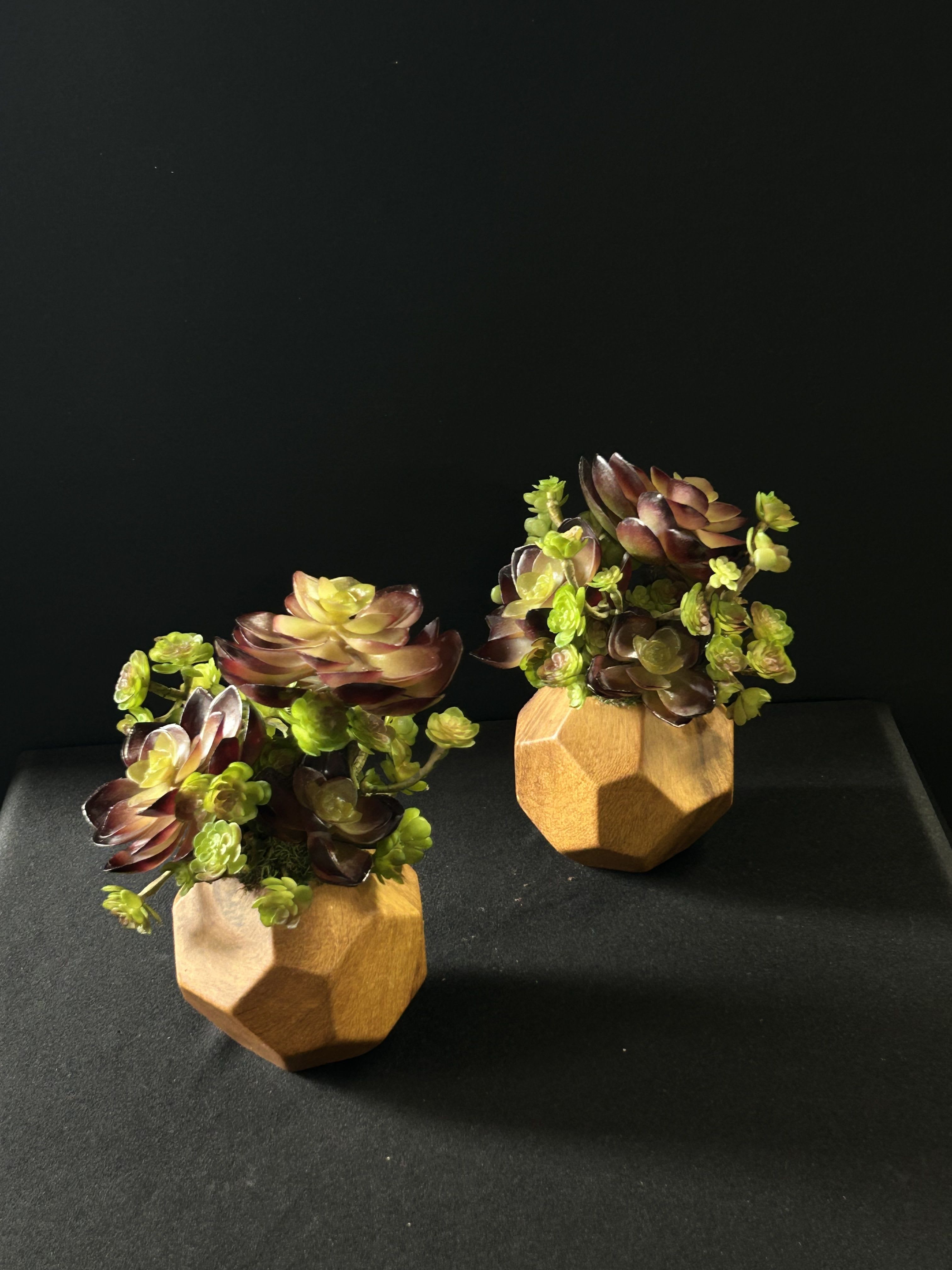 Faux Succulent Duo - Small Faux Succulent Planters Perfect for Your Work Desk, for the Home or a Great Gift!