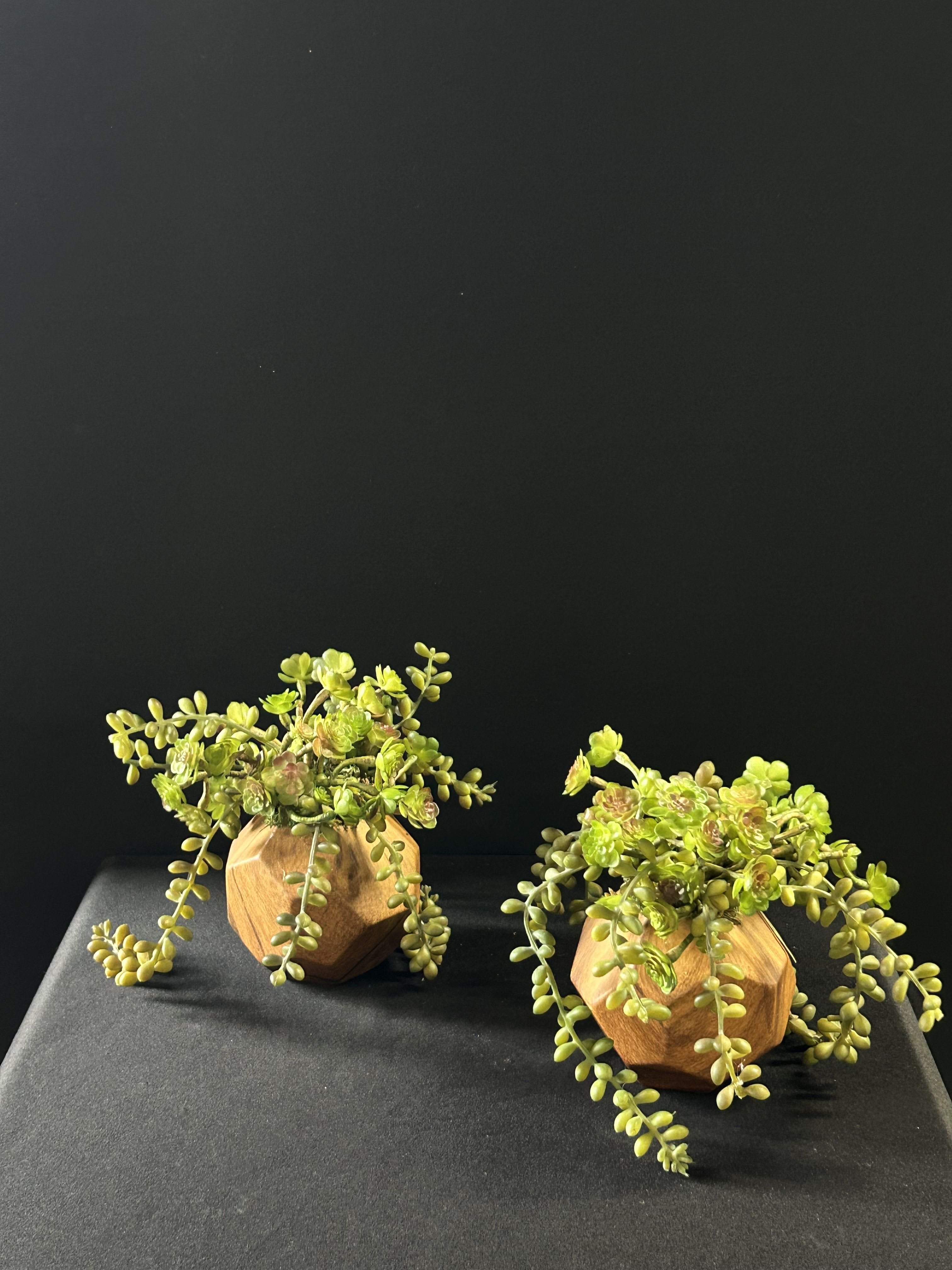 Small Faux Succulent Planter Duo - Small Faux Succulent Planters Perfect for Your Work Desk, for the Home or a Great Gift!