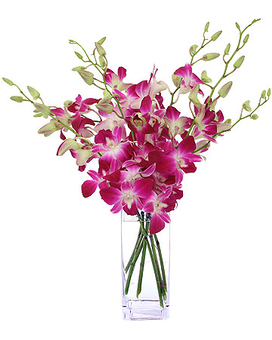 Tall arrangement of pink and white orchids in a clear rectangular glass vase