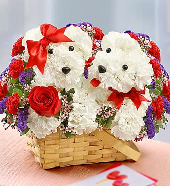 Lucky in Love - They call it puppy love. We call it our Lucky in Love a-DOG-able! Send our pair of flower pooches to your pick of the litter. This truly original arrangement is handcrafted in a handled basket from fresh white carnations, red roses, carnations, statice and waxflower, featuring a precious female pup with a red ribbon and a dapper male dog with a red bow tie. 