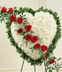 Bleeding Heart (white field) - This solid white heart standing spray, accented with a slash of beautiful red roses, is a timeless symbol of your love, sympathy and support. Florist arranged and hand delivered to a funeral home. Same day delivery available. Measures approximately 24"H x 24"L