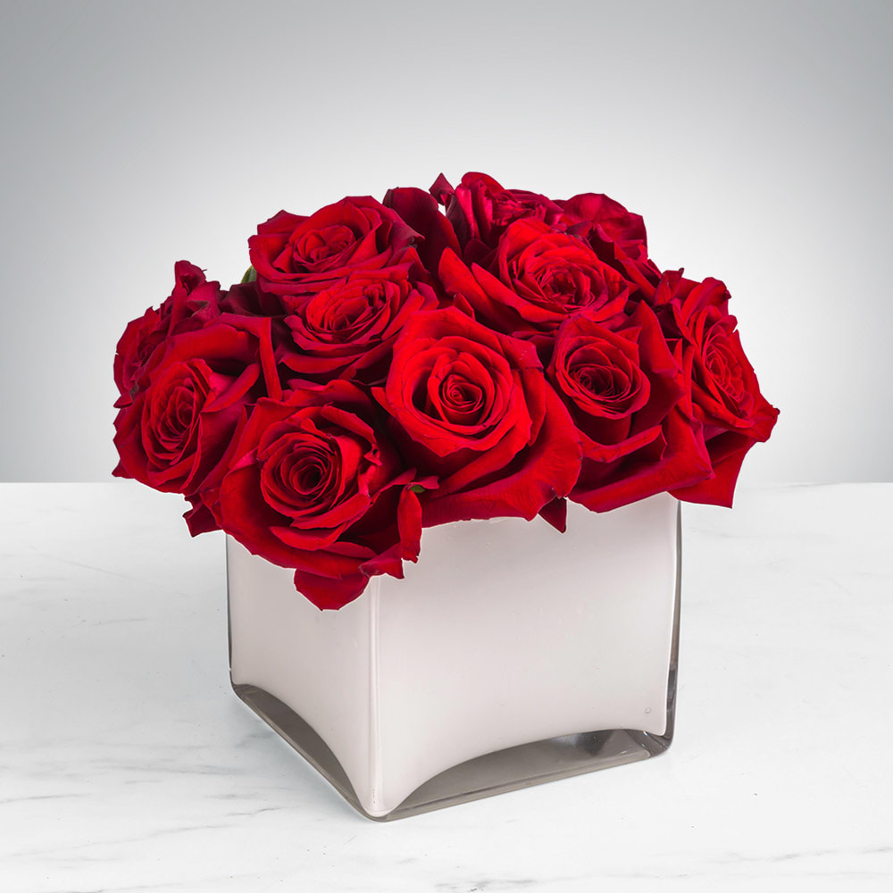 Compact arrangement of red roses in a low square white vase on a light surface