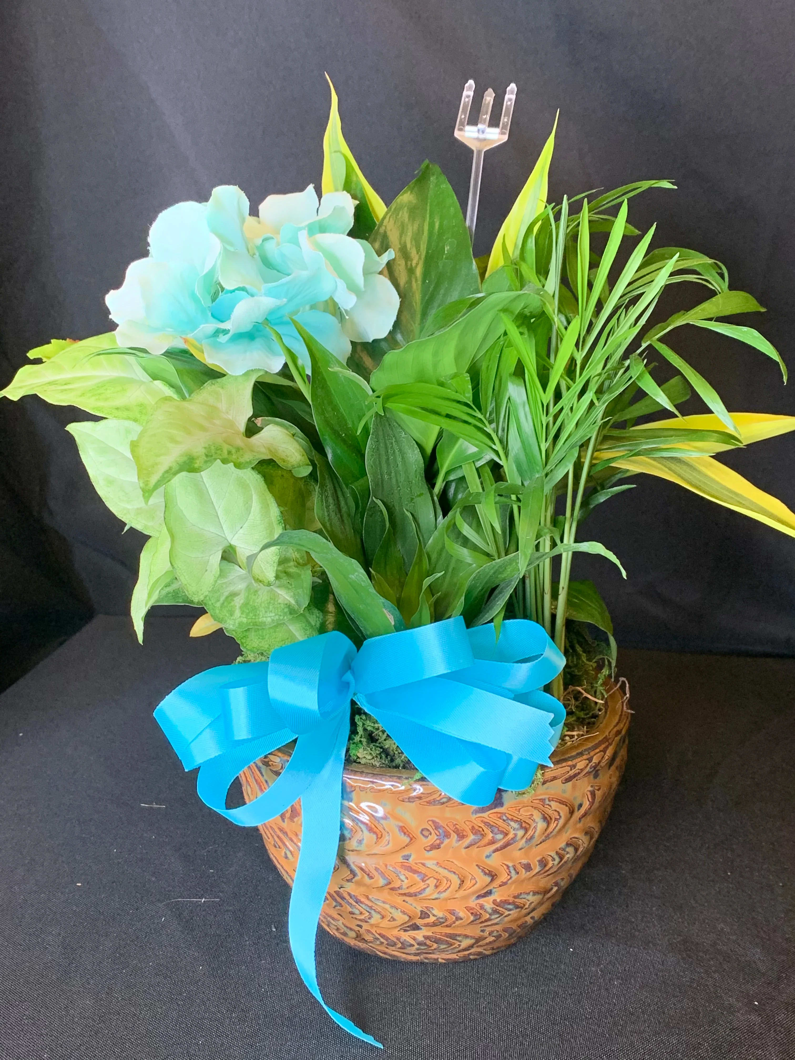 Potted arrangement with blue hydrangea, tropical foliage, and a bright ribbon
