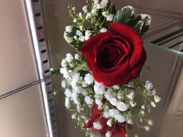 Single red rose with baby's breath and variegated leaves