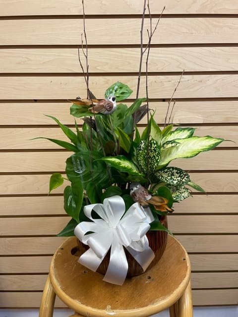 Tropical plant arrangement in a pot with a white bow and decorative bird picks