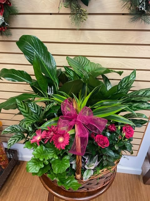 Basket arrangement with pink flowers, tropical foliage, and a magenta bow